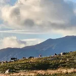 Mountain At 1000m At Casa de Férias