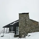 Tatil Evi Mountain At 1000m At Hemsedal