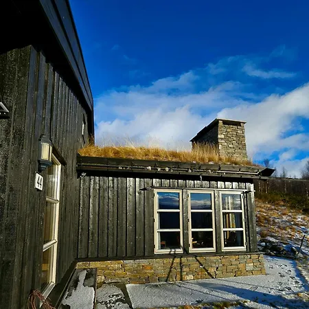 Mountain At 1000m At ヘムセダール