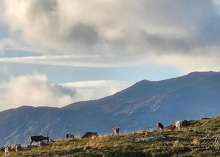 Bjerghytte 1000 Meter Over Havets Overflade I Hemsedal Feriehus