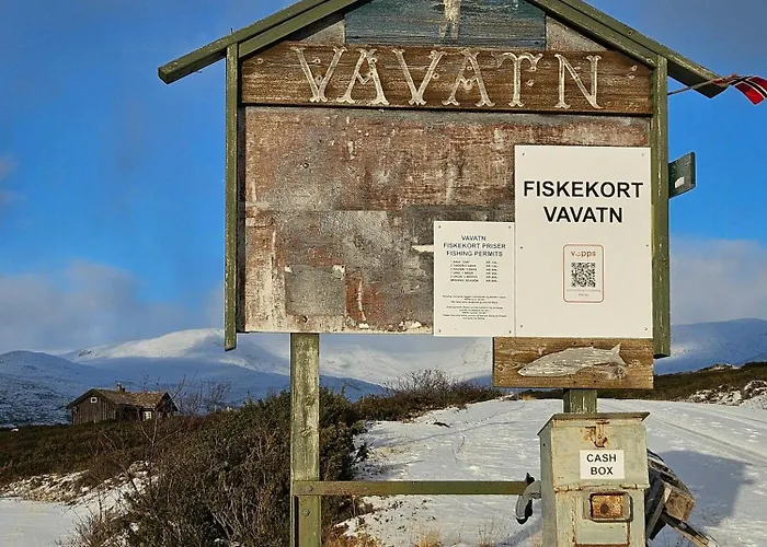 Feriehus Bjerghytte 1000 Meter Over Havets Overflade I Hemsedal