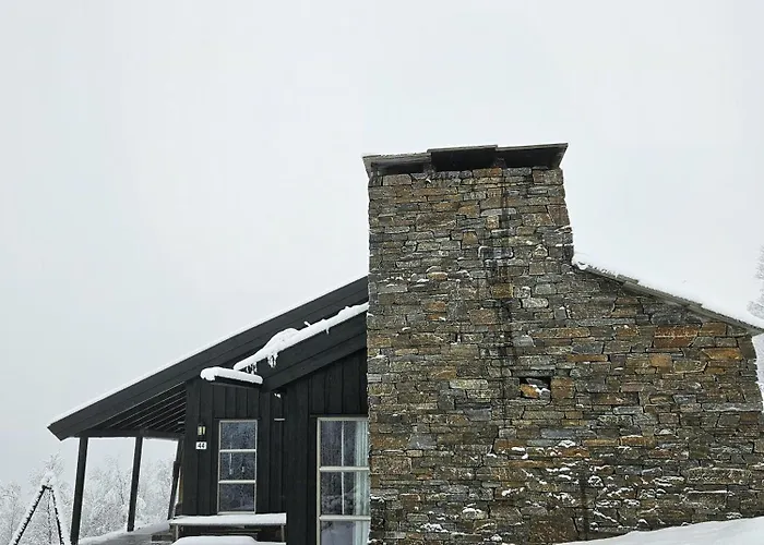 Feriehus Bjerghytte 1000 Meter Over Havets Overflade I Hemsedal Hemsedal
