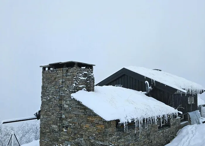 Feriehus Bjerghytte 1000 Meter Over Havets Overflade I Hemsedal Hemsedal