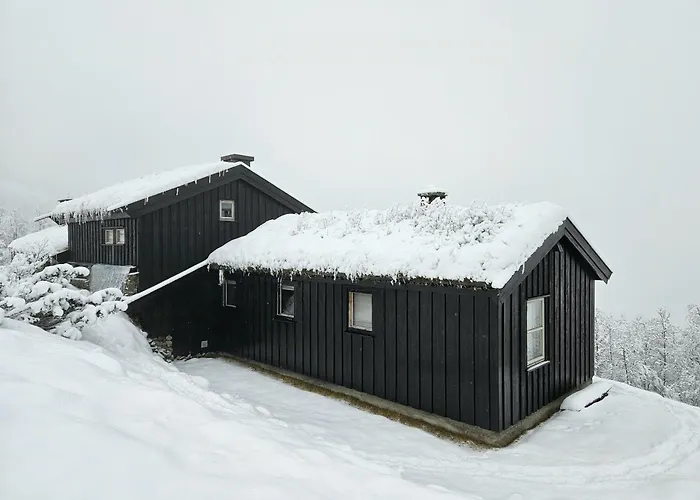 Bjerghytte 1000 Meter Over Havets Overflade I Hemsedal Hemsedal